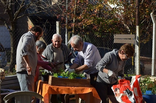 Voluntarios ofreciendo plantines en la frente huerta