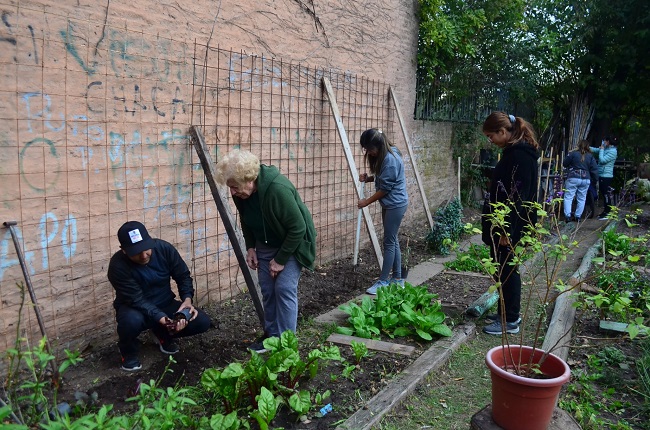 Voluntarios y vecinos trabajando en la huerta