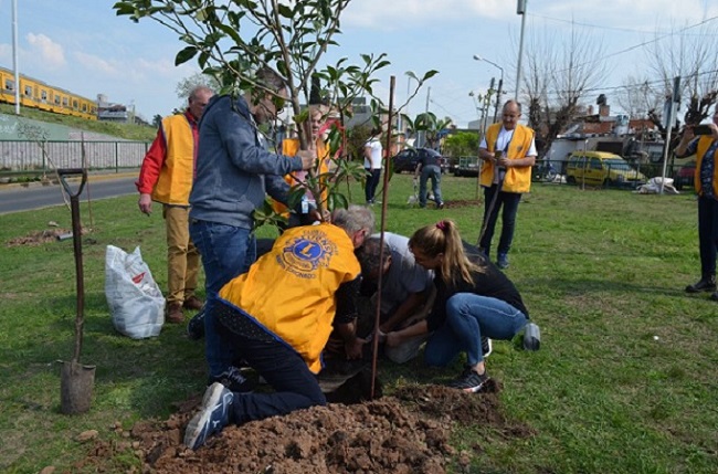 Voluntarios y vecinos realizando plantación de árboles en cercanías del tunel de Martín Coronado