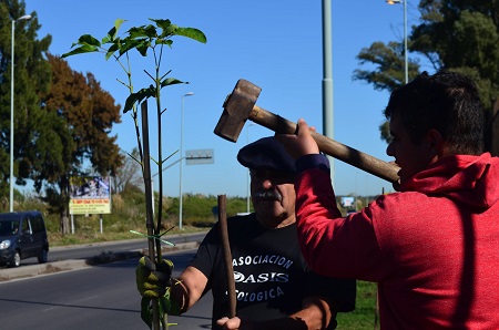 La imagen muestra