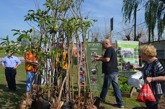 Voluntarios preparando jornada de plantación